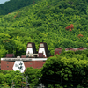 The Japanese Whisky Crisis